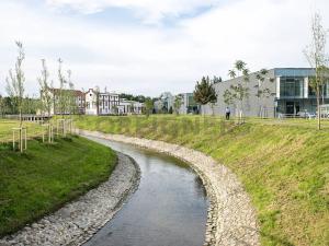Pronájem bytu 1+kk, Brno, Dornych, 24 m2