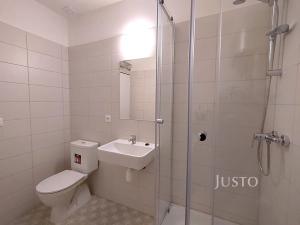 Pronájem bytu 1+kk, Čížová, 23 m2