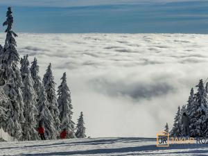 Prodej chaty, Černý Důl, 377 m2