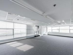 Pronájem kanceláře, Praha - Žižkov, Vinohradská, 528 m2