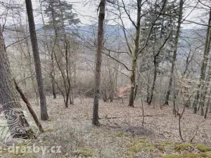 Dražba pozemku, Sušice, 7484 m2