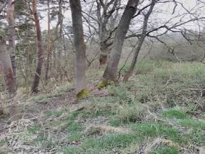 Dražba pozemku, Sušice, 7484 m2