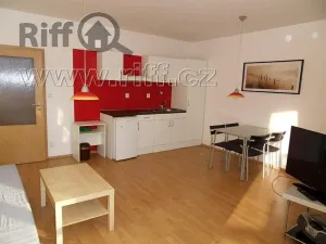 Pronájem bytu 1+kk, Brno, Božetěchova, 41 m2