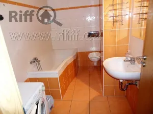 Pronájem bytu 1+kk, Brno, Božetěchova, 41 m2