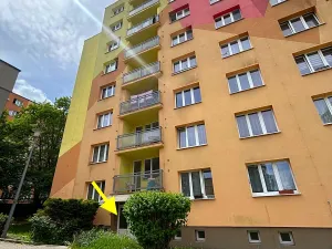 Prodej bytu 2+1, Plzeň, Lábkova, 45 m2