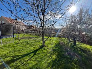 Prodej rodinného domu, Pustá Polom, Hradecká, 150 m2