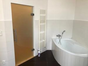 Pronájem bytu 2+kk, Olomouc, Palackého, 80 m2