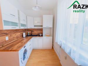 Pronájem bytu 1+kk, Planá, Bohušova, 30 m2