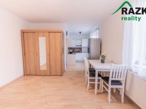 Pronájem bytu 1+kk, Planá, Bohušova, 30 m2