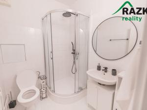 Pronájem bytu 1+kk, Planá, Bohušova, 30 m2