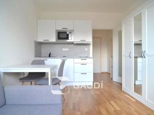 Pronájem bytu 1+kk, Praha - Vysočany, U Lidového domu, 19 m2