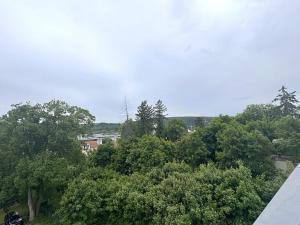 Pronájem bytu 2+kk, Brno, Vinařská, 55 m2