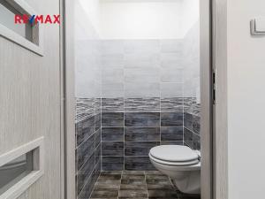 Prodej rodinného domu, Vejvanov, 450 m2