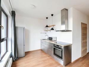 Pronájem bytu 1+kk, Beroun, Na Veselou, 47 m2