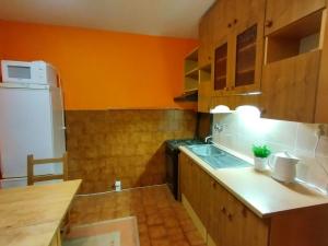 Pronájem bytu 1+1, Ostrava, Evžena Rošického, 35 m2