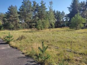 Prodej pozemku pro bydlení, Ralsko, 1000 m2