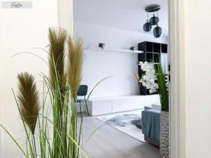 Pronájem bytu 2+kk, Praha - Stodůlky, U jezera, 42 m2