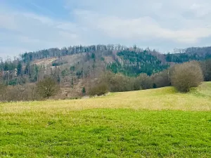 Prodej pozemku pro bydlení, Běleč, 4115 m2