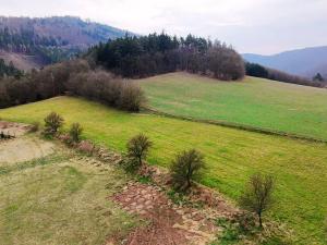 Prodej pozemku pro bydlení, Běleč, 4115 m2