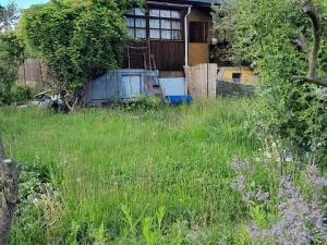 Pronájem zahrady, Praha - Strašnice, Dolínecká, 400 m2