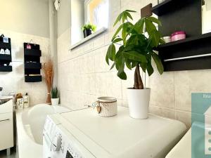 Prodej rodinného domu, Rataje, 205 m2