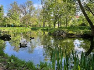 Pronájem bytu 2+kk, Brno, Lidická, 57 m2