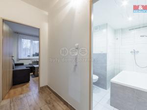 Pronájem bytu 1+1, Nová Role, Pod Nádražím, 34 m2