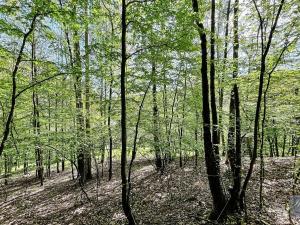Prodej chalupy, Dobřeň, 150 m2