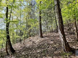 Prodej chalupy, Dobřeň, 150 m2