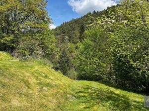 Prodej chalupy, Dobřeň, 150 m2