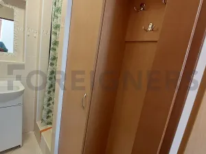 Pronájem bytu 1+kk, Olomouc, Panská, 25 m2