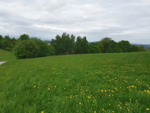 Prodej rodinného domu, Lomnice nad Popelkou, Stružinecká, 777 m2