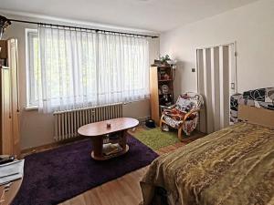 Prodej bytu 1+1, Třebíč, Kmochova, 40 m2