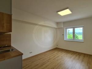 Pronájem bytu 1+kk, Srubec, Do Mladého, 21 m2