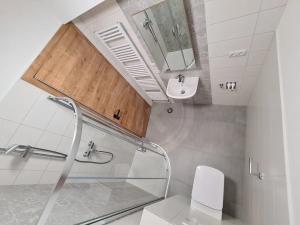 Pronájem bytu 1+kk, Srubec, Do Mladého, 21 m2