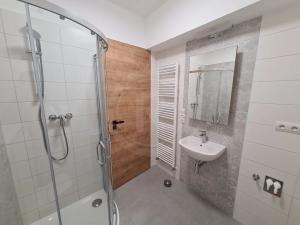 Pronájem bytu 1+kk, Srubec, Do Mladého, 21 m2
