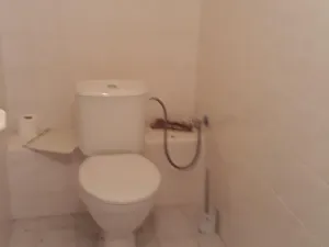Dražba bytu 3+1, Milovice, Lesní, 113 m2