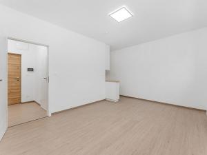 Pronájem bytu 1+kk, Brno - Černovice, Faměrovo náměstí, 29 m2