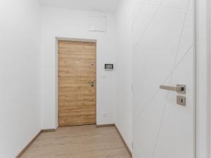 Pronájem bytu 1+kk, Brno - Černovice, Faměrovo náměstí, 29 m2