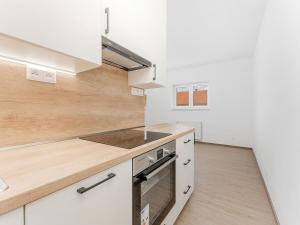Pronájem bytu 1+kk, Brno - Černovice, Faměrovo náměstí, 29 m2
