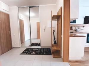 Pronájem bytu 2+kk, Praha - Žižkov, Olgy Havlové, 55 m2