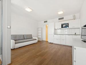 Pronájem bytu 1+kk, Praha - Žižkov, Olšanská, 34 m2