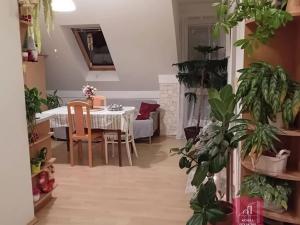 Pronájem bytu 2+kk, Bílovice nad Svitavou, Lesní, 50 m2