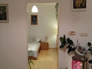 Pronájem bytu 2+kk, Bílovice nad Svitavou, Lesní, 50 m2