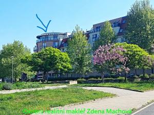 Pronájem bytu 3+kk, Praha - Modřany, U Domu služeb, 223 m2
