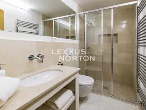 Pronájem bytu 3+kk, Praha - Vinohrady, Hradešínská, 70 m2