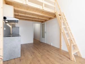 Pronájem bytu 1+kk, Ostrava, Palackého, 26 m2