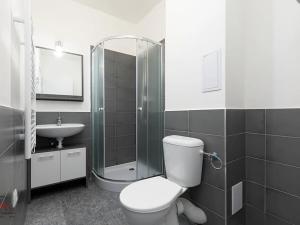 Pronájem bytu 1+kk, Ostrava, Palackého, 26 m2
