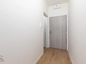 Pronájem bytu 1+kk, Ostrava, Palackého, 26 m2