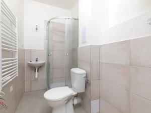 Pronájem bytu 1+kk, Ostrava, Palackého, 23 m2